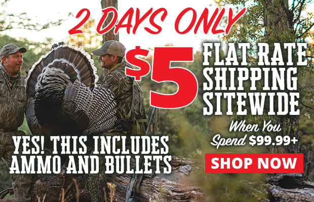 2 Days Only $5 Flat Rate Shipping Sitewide When You spend $99.99+ Restrictions Apply Use Code 240422