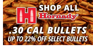 .33 Cal Bullets Up to 22% Off