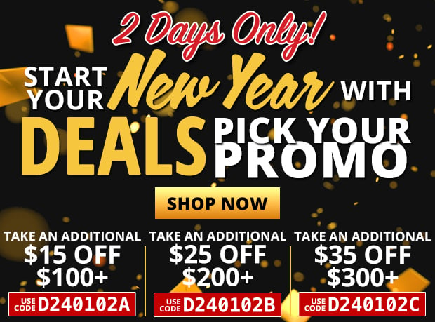 2 Days Only to Start Your New Year with Deals & Pick Your Promo!