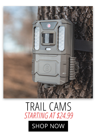 Shop Trail Cams Starting at $24.99