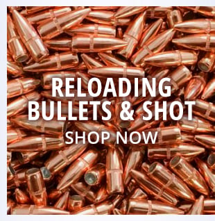 Reloading Bullets & Shot