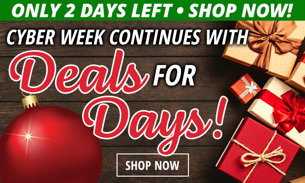 Only 2 Days Left for Cyber Week Deals for Days!