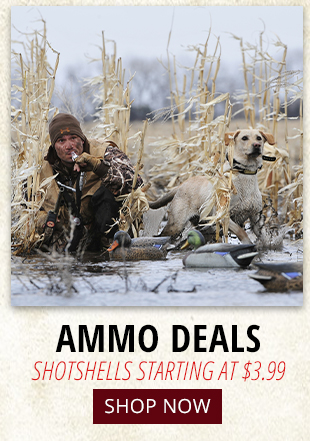 Ammo Deals with Shotshells Starting at $3.99