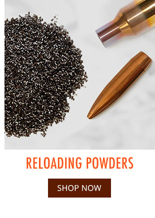 Reloading Powders