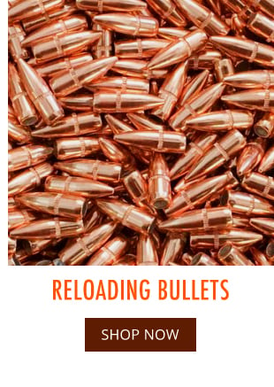 Reloading Bullets