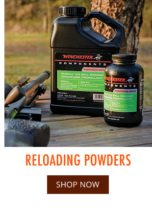 Reloading Powders