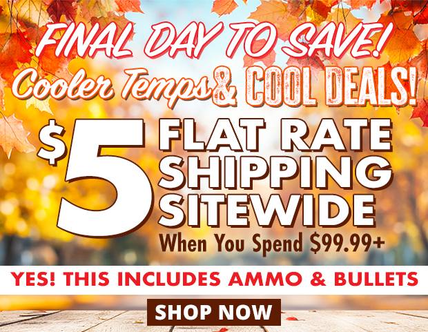 Final Day for $5 Flat Rate Shipping When You Spend $99.99+ • Restrictions Apply • Use Code FS241007