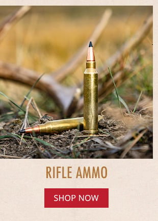 Rifle Ammo