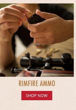 Rimfire Ammo