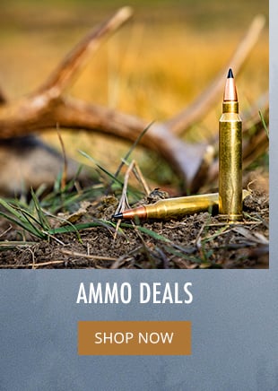 Ammo Deals